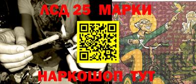 гидропоника Пугачёв