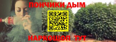 гидропоника Пугачёв