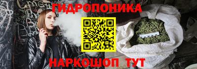 гидропоника Пугачёв
