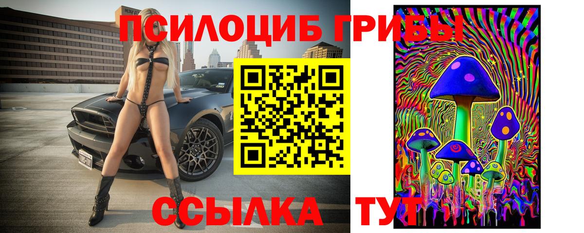 Псилоцибиновые грибы Cubensis Баксан